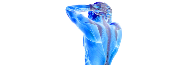 Chiropractic Bedford OH Fibromyalgia